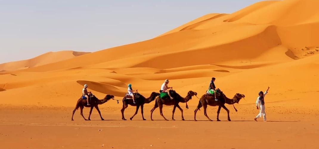 camel ride in merzouga